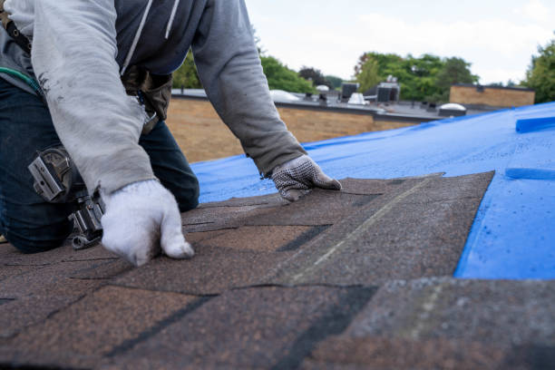 Best Storm Damage Roof Repair  in Lander, WY